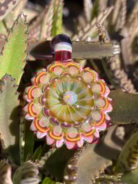 Image 3 of Magenta Magnolia