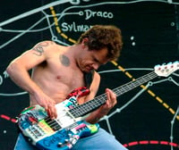 Image 4 of Flea guitar stickers C-Punk Bass Modulus custom FB-4  Red hot chili peppers Michael Balzary. Set 14 