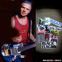 Image 1 of Flea guitar stickers C-Punk Bass Modulus custom FB-4  Red hot chili peppers Michael Balzary. Set 14 