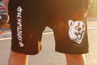 Image 2 of ZombieBear Shorts