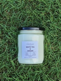 Image 1 of White Tea & Ginger 16 oz