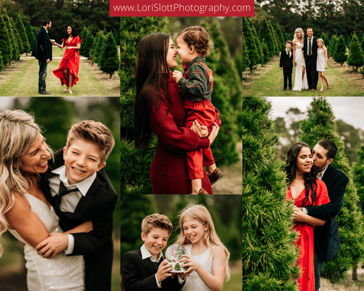 Christmas Tree Farm Mini Sessions, Oct. 25th