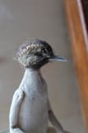 Little Bird Cloth Art Doll, #3