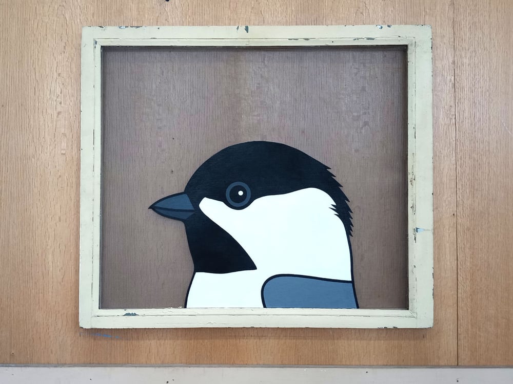 Image of Carolina Chickadee