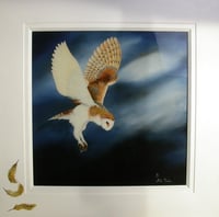 Image 1 of Midnight Feast 2407 - Limited Edition Print.