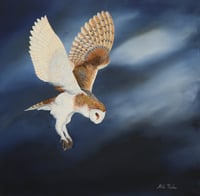Image 2 of Midnight Feast 2407 - Limited Edition Print.