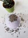 Lavender Bath Bomb