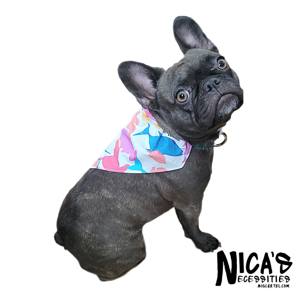 Pet Bandana