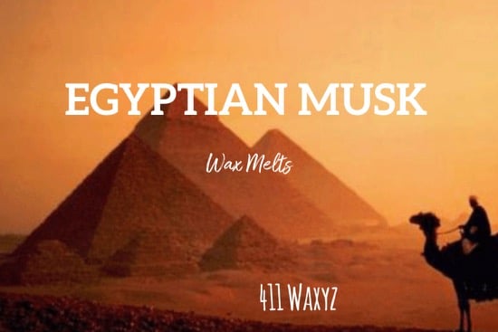 Image of Egyptian Musk