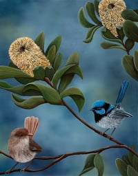 Image 1 of "Finley and Fern" the Fairy Wrens Art Print