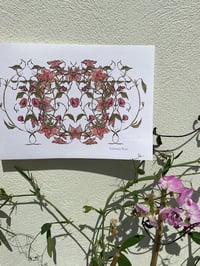 Image 1 of Sweetpea Wreath 