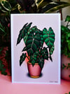 Print Plants Alocasia