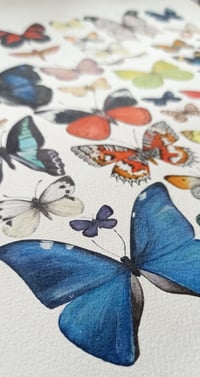 Image 5 of Rebirth Butterflies Illustration PRINT 