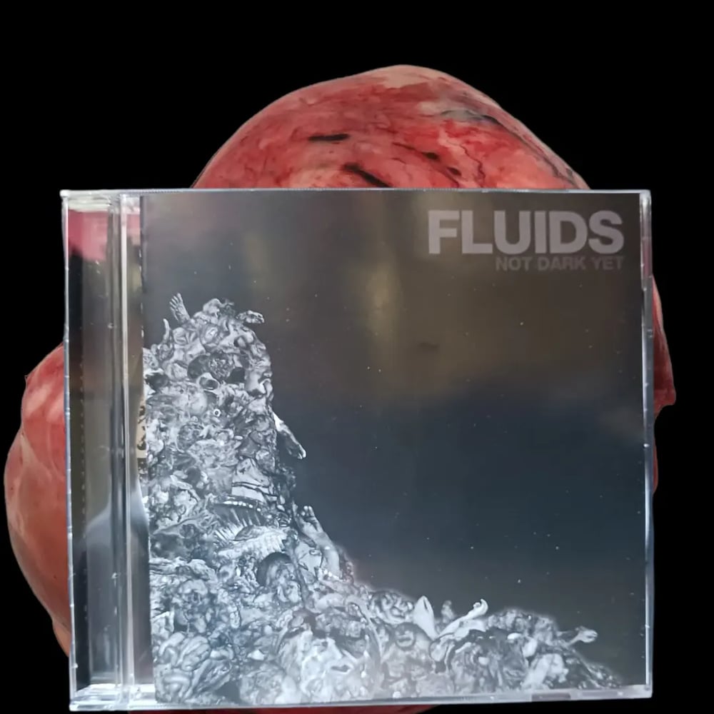 Image of Fluids - Not Dark Yet 