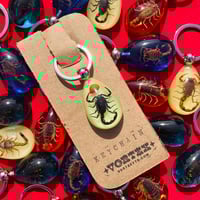 Image 1 of Scorpion Teardrop Keychain 