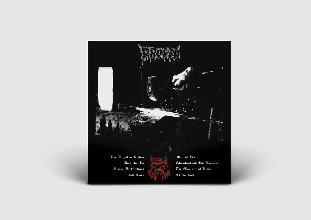 THE FORGOTTEN REALMS Full Length LP