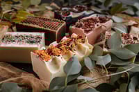 Image 4 of S O L 