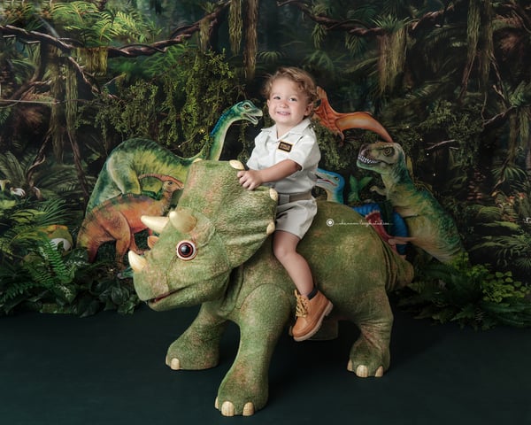 Image of Limited Edition Dinosaur Minis - Sunday, June 11th 