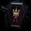 Bat Skeleton Coffin Frame - Red Velvet