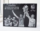 Image 2 of Limerick Champions - Double Deal!