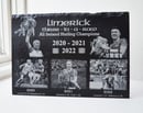 Image 3 of Limerick Champions - Double Deal!