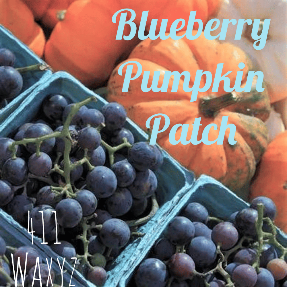 Image of Blueberry Pumpkin Patch (BBW Dupe)