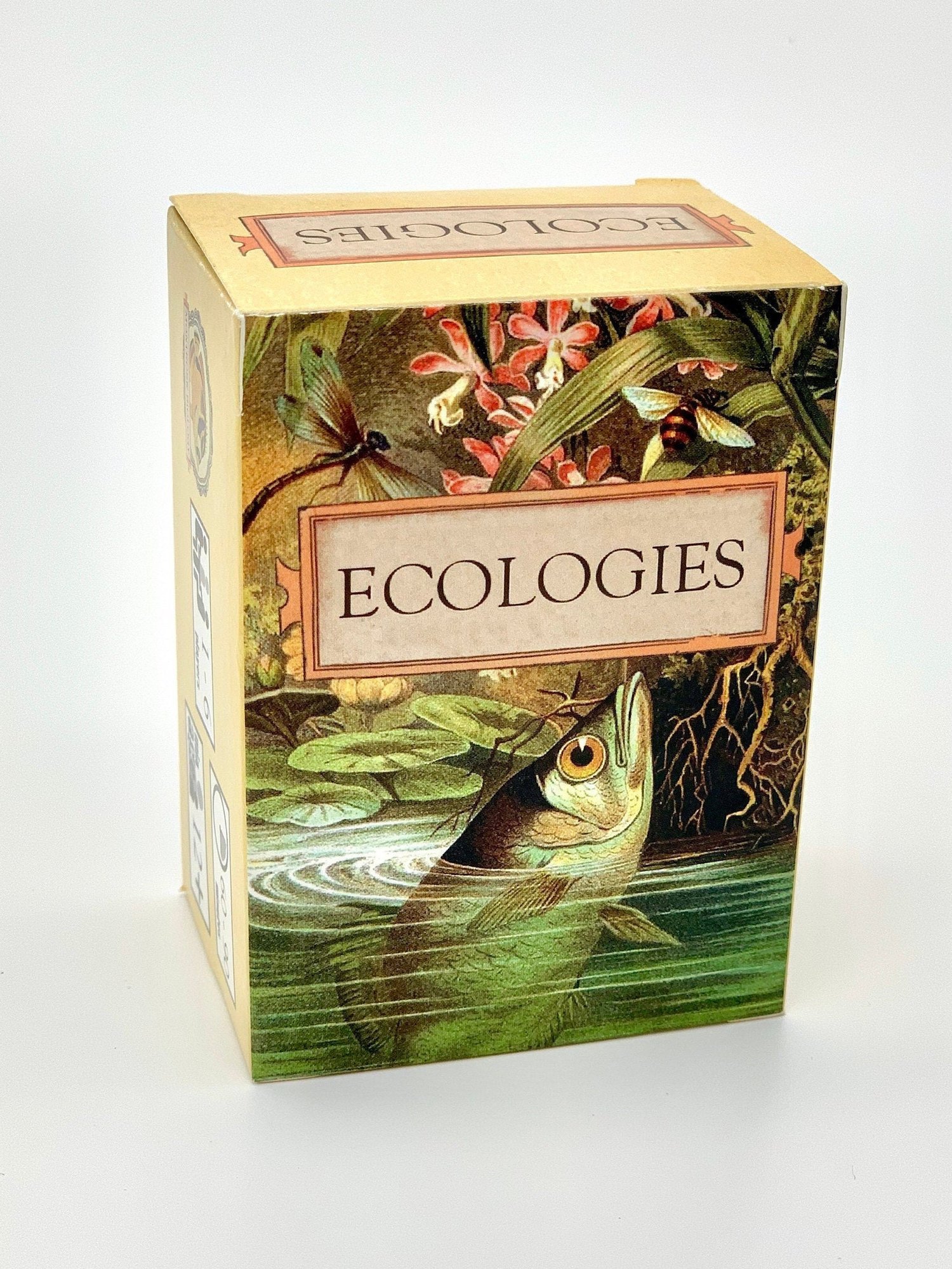 Ecologies Card Game | Montrose Biology