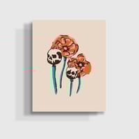 Image 1 of Death’s Head Poppy Print