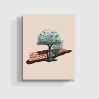 Image 1 of Olive Grove Print
