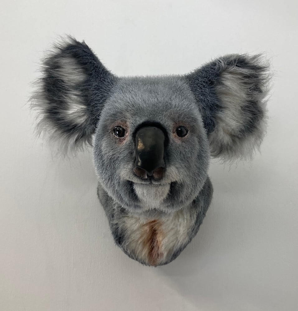Image of Koala Sculpture