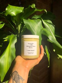 Lavender + CBD Whipped Shea Butter