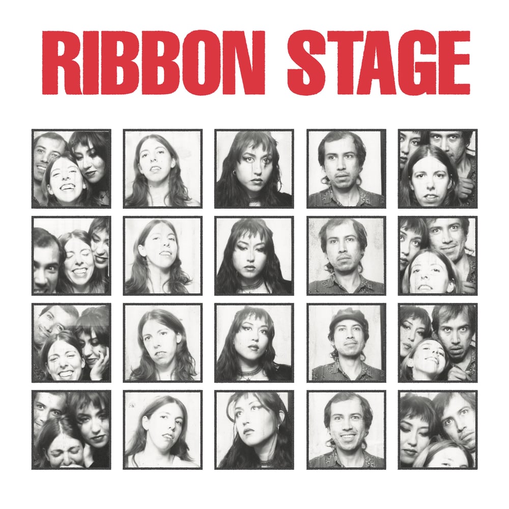 Image of Ribbon Stage "Hit with the Most" LP