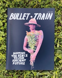 Bullet Train: Hopping the Fence to our Ancient Future