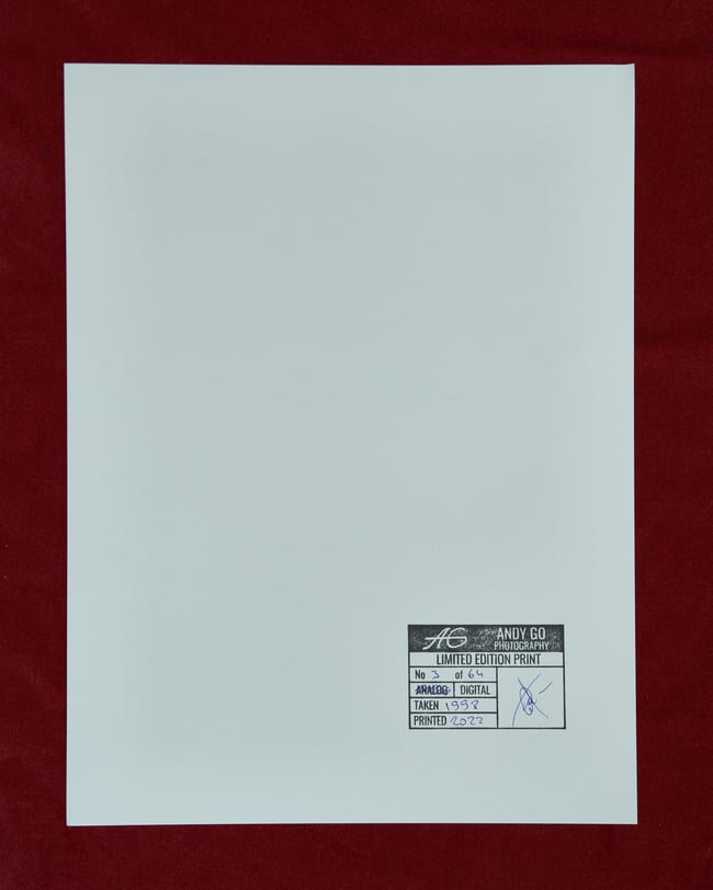 Sapogi - Digital print