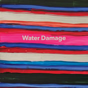 Image of Water Damage - 'But The Rat Was Very Smart' (Sophomore Lounge)