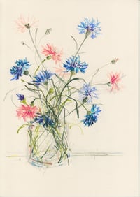 Cornflowers