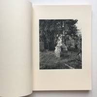 Image 5 of Rag by James Meredew