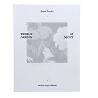 Image 1 of Trebah Garden at Night by James Meredew