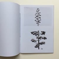 Image 2 of It's Good to Be Here by Sam Plumstead