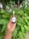 Image of Hair serum