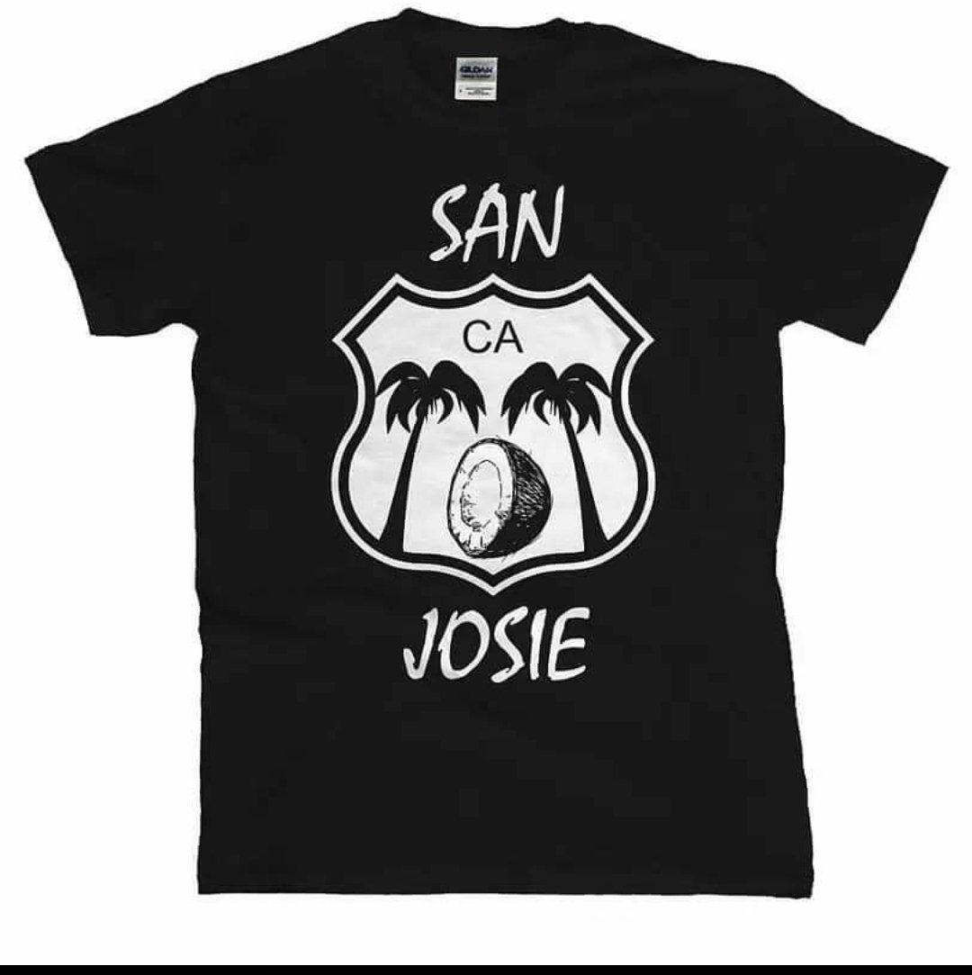 Image of San Josie 101 Palm Trees