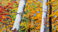 Image 3 of - Cherry Red -