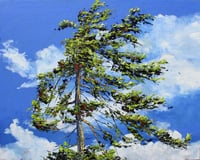 Image 1 of - Georgian Sky -