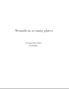 Wounds in so many places 