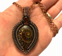 Image 1 of Ammonite & garnet