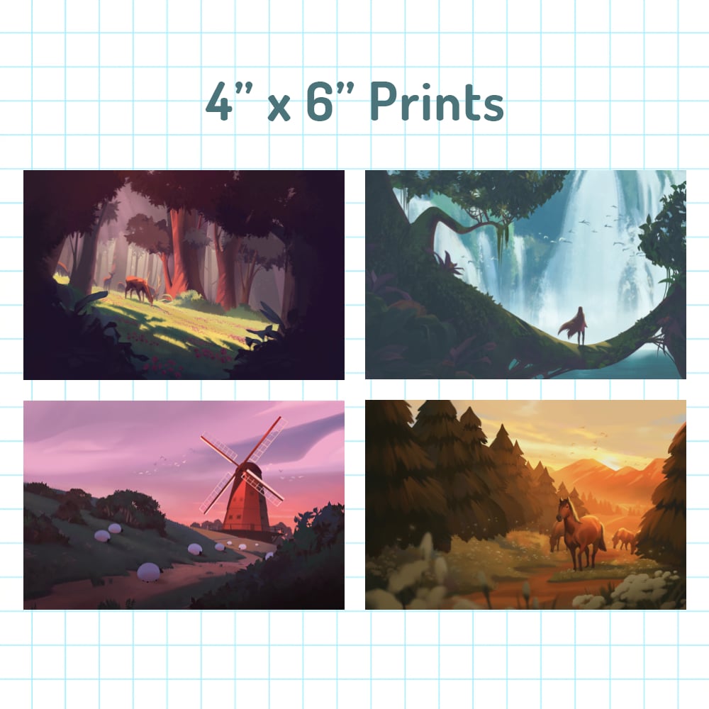 4" x 6" Prints | bobabiscuit