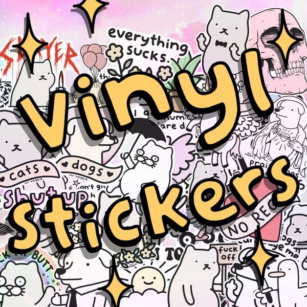 Image of The vinyl stickers .