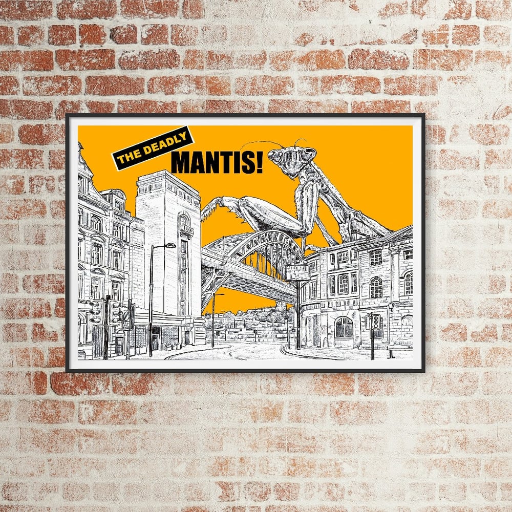 'The Deadly Mantis' - Newcastle