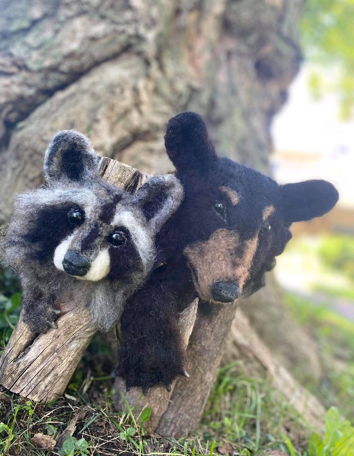 Image of Bear head or Raccoon head