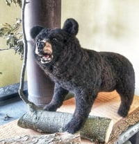 Large Black Bear